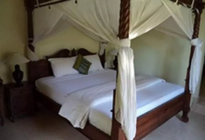اتاق سوپریور, Coral Bay Bungalows Amed Bali