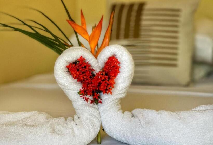 이코노미 룸, Nany