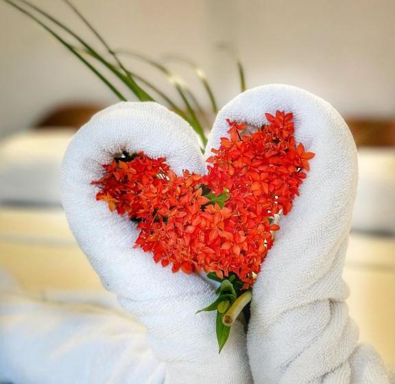 스탠다드 트리플 룸, Nany