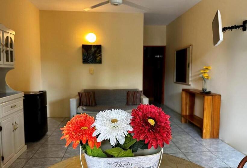 침실 1개 아파트, Nany