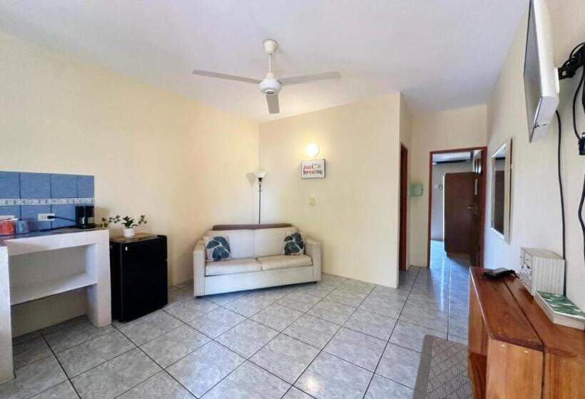 침실 1개 아파트, Nany