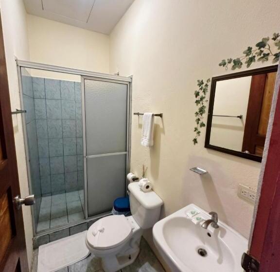 침실 1개 아파트, Nany