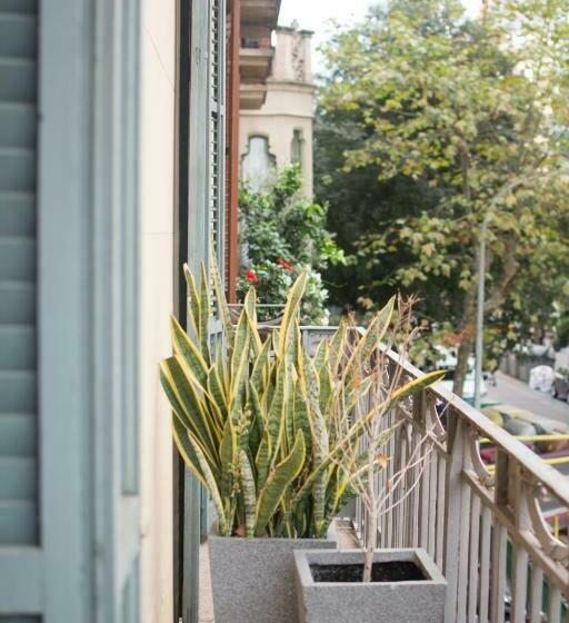 Habitación Estándar, Forget Me Not Barcelona