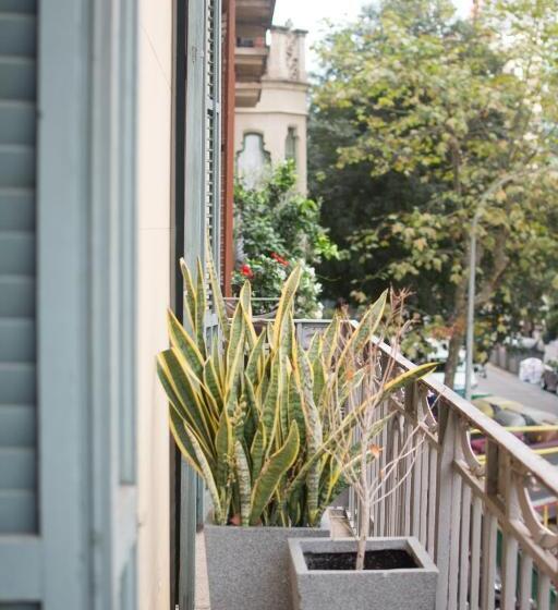 Habitación Superior, Forget Me Not Barcelona