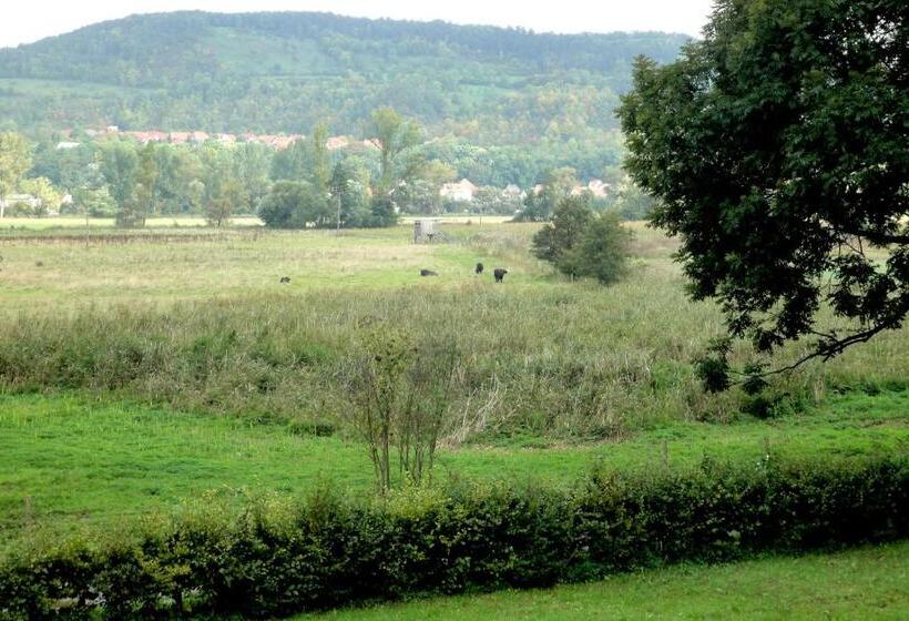 منزل غرفة نوم واحدة, Biohotel Stiftsgut Wilhelmsglücksbrunn