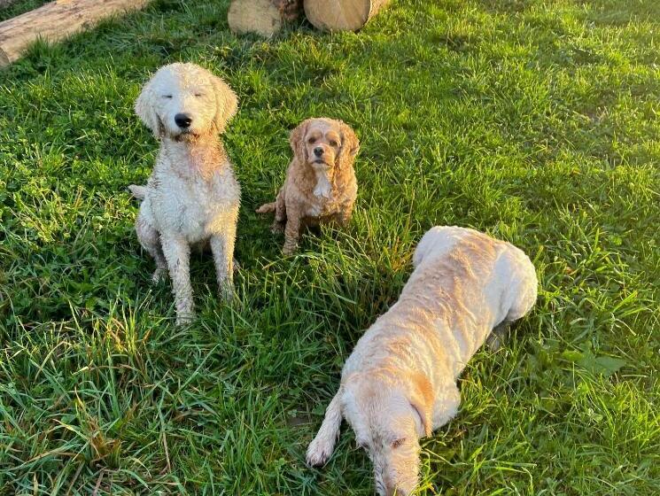 Quarto Familiar, Adam & Eva Gasthof Paradies Mit