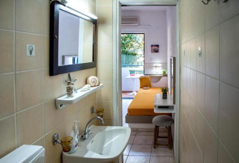 Студия Стандарт, Amazona