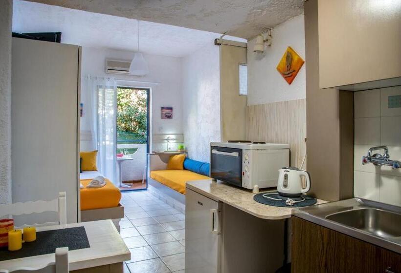 Студия Стандарт, Amazona