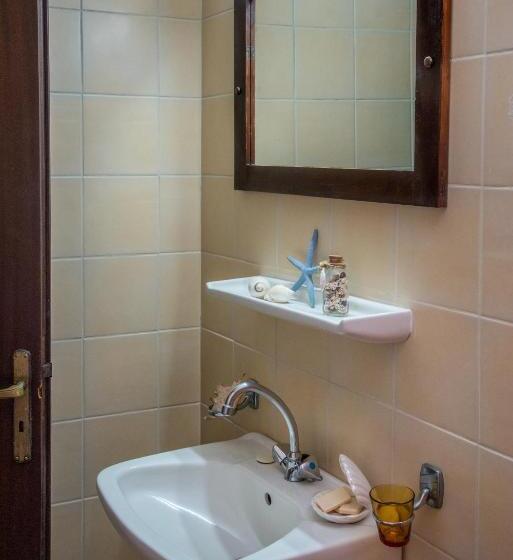 Студио Стандарт Вид на Сад, Amazona