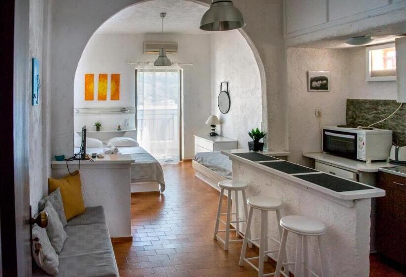 Студио Стандарт Вид на Сад, Amazona