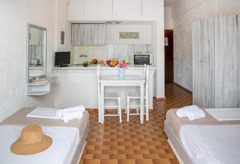 Студио Стандарт Вид на Сад, Amazona