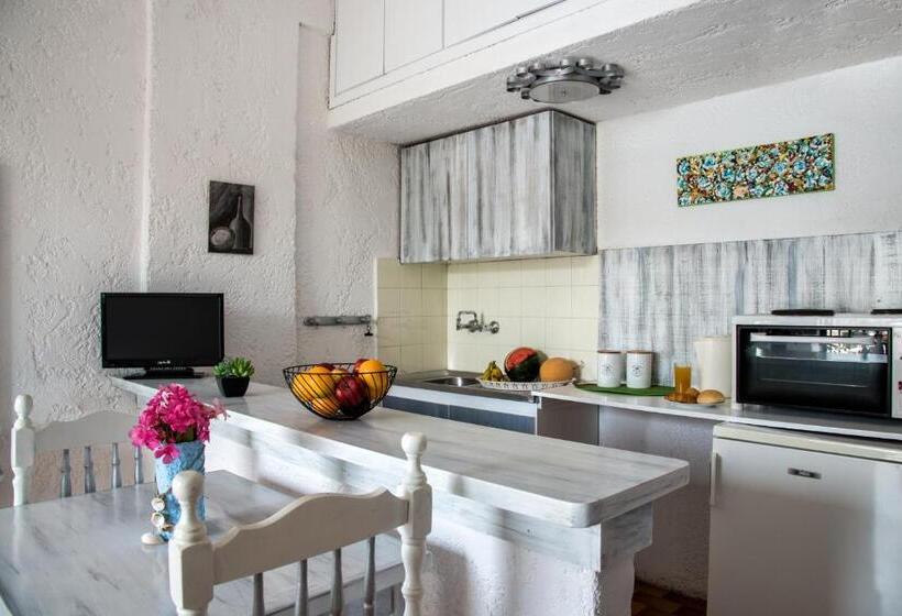 Студио Стандарт Вид на Сад, Amazona