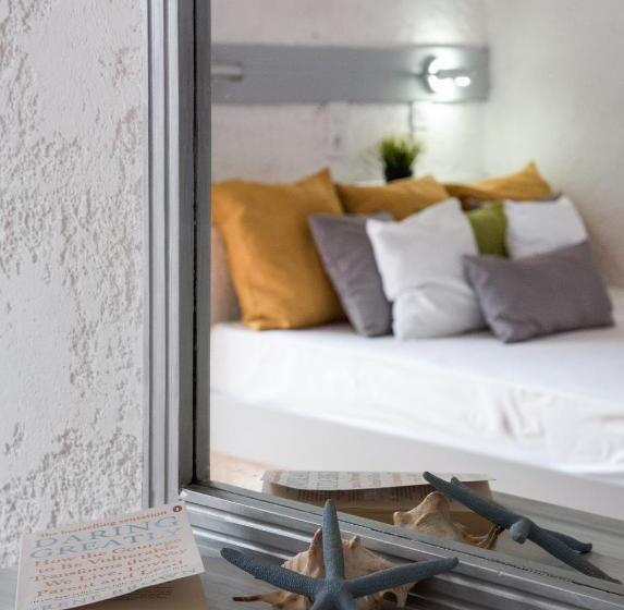 Студио Стандарт Вид на Сад, Amazona