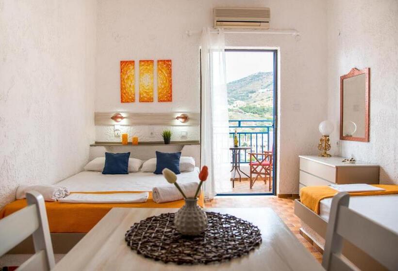 Студио Стандарт Вид на Сад, Amazona