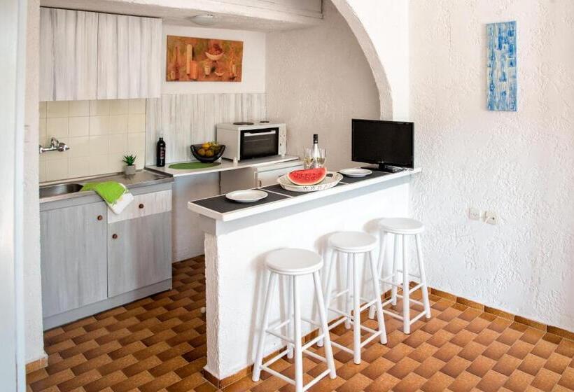 Номер Стандарт Вид на Сад, Amazona