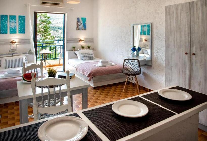 Номер Стандарт Вид на Сад, Amazona