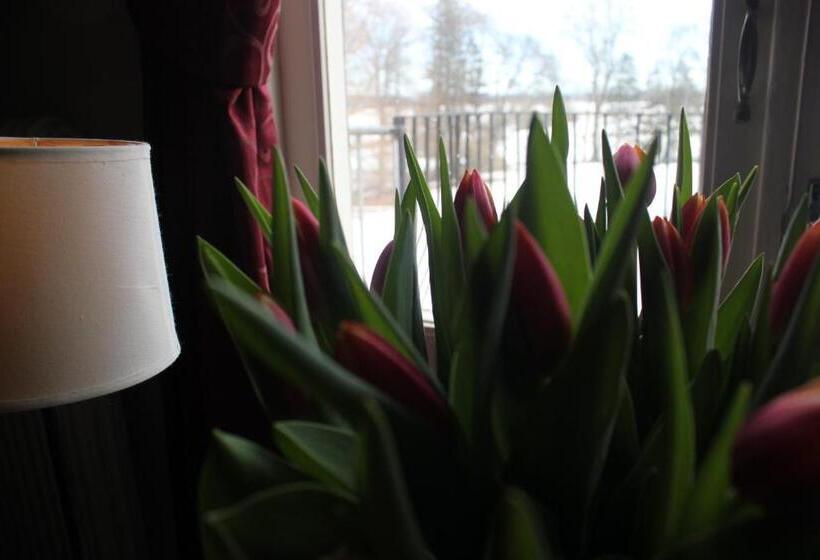 低层单卧公寓, Brunsbo G:a Biskopsgård Hotell & Konferens