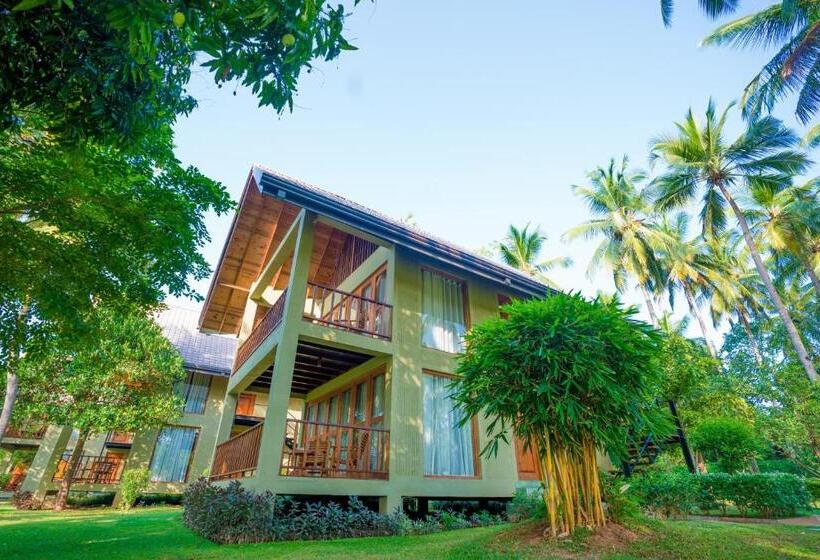Deluxe-huone, Miracle Resorts & Villas