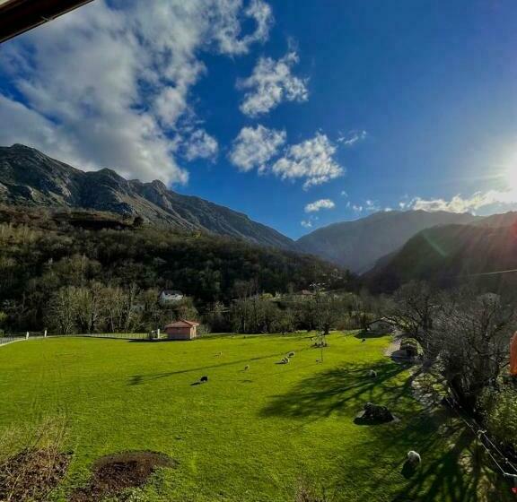 غرفة قياسية, Rural El Torrejon