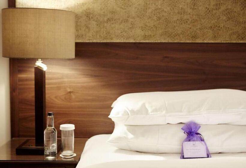 스탠다드 룸 킹사이즈 침대, The Celtic Manor Resort