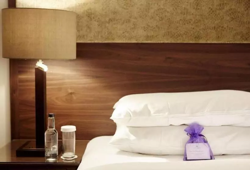 اتاق استاندارد با تخت بزرگ, The Celtic Manor Resort