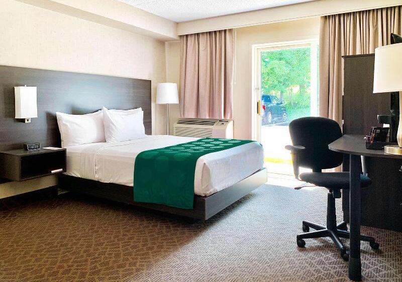 شقة سوبريور غرفة واحدة, Lotus Center