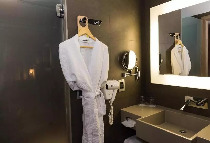 Executive-huoneisto 1 Makuuhuone, Novotel Rj Praia De Botafogo