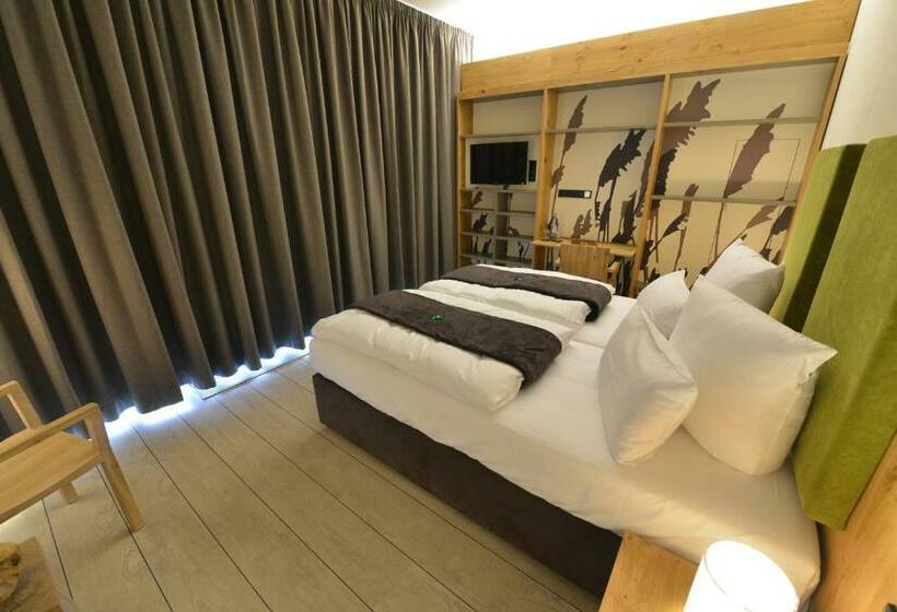 חדר סטנדרט עם טרסה, Panorama Hotel Aschberg