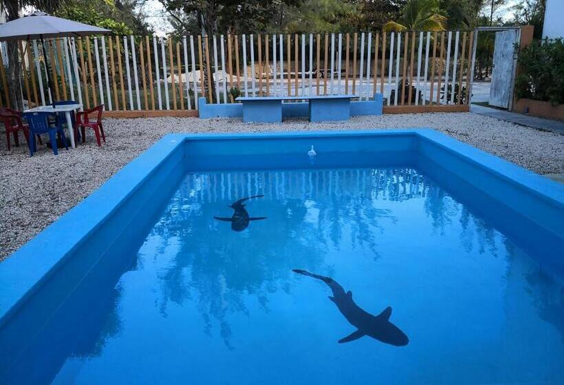 اتاق استاندارد, Hostel Punta Sam