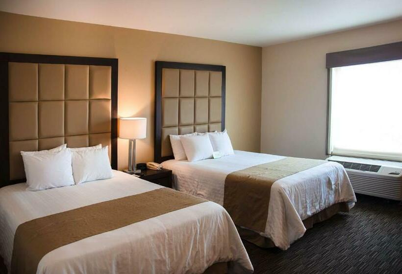 اتاق استاندارد, Best Western Plus Chihuahua Juventud