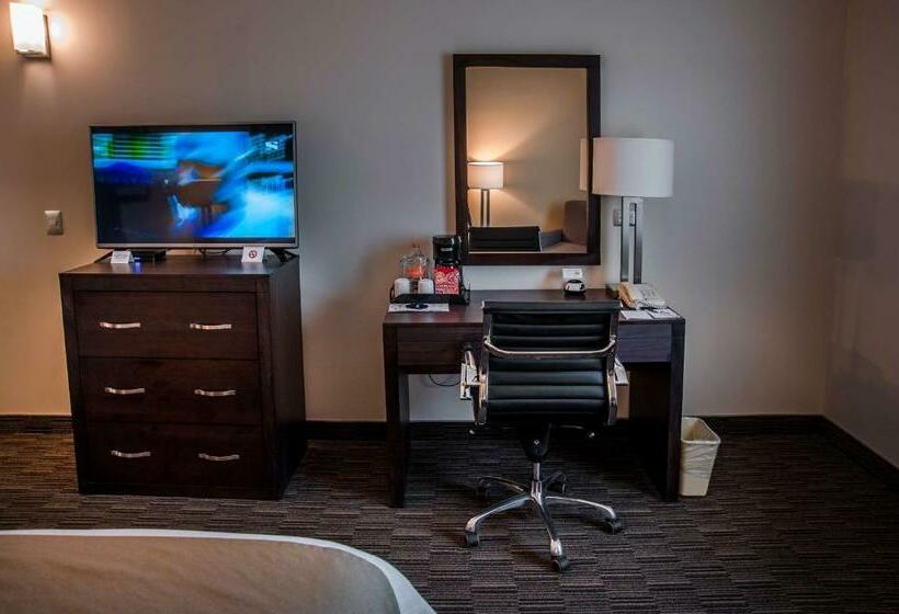 اتاق استاندارد, Best Western Plus Chihuahua Juventud