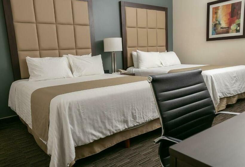 اتاق استاندارد, Best Western Plus Chihuahua Juventud