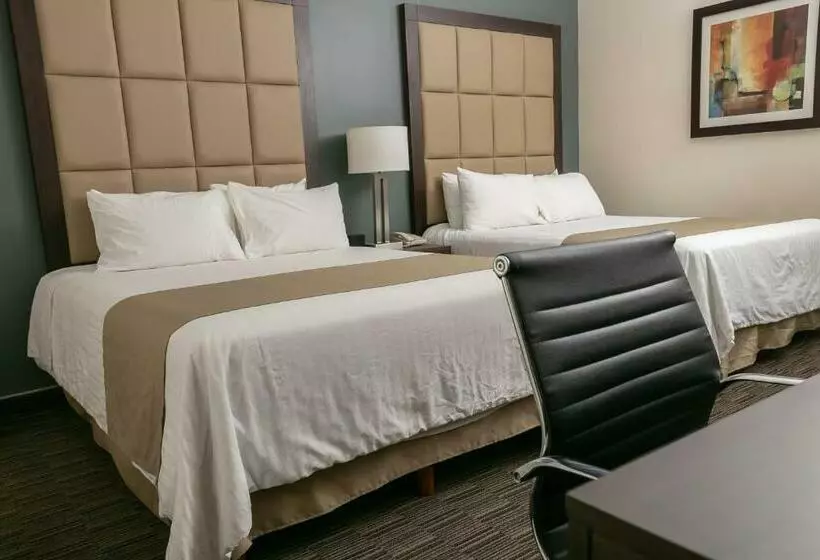 اتاق استاندارد, Best Western Plus Chihuahua Juventud