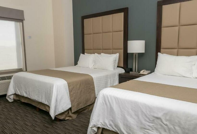 اتاق استاندارد, Best Western Plus Chihuahua Juventud