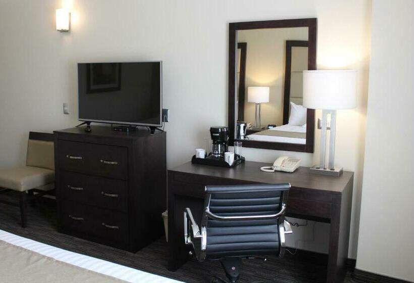 اتاق استاندارد, Best Western Plus Chihuahua Juventud