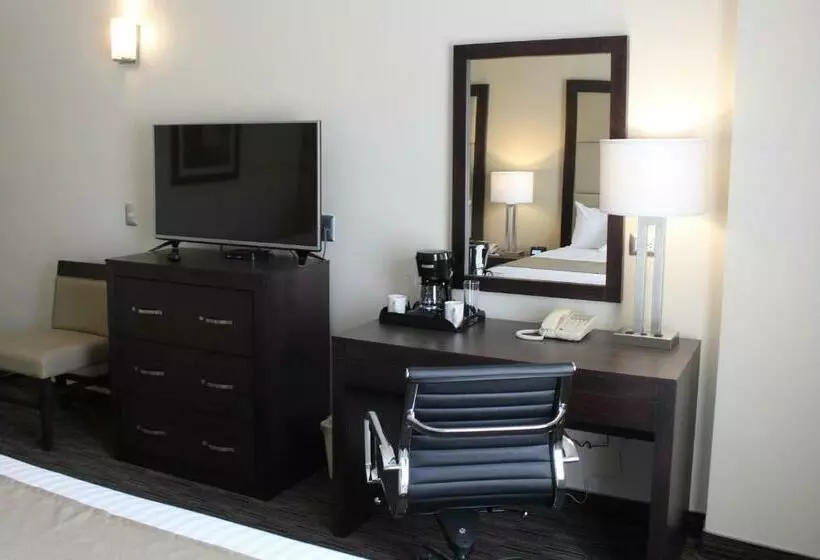 اتاق استاندارد, Best Western Plus Chihuahua Juventud
