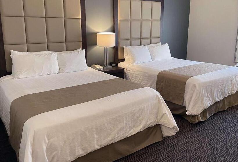 اتاق استاندارد, Best Western Plus Chihuahua Juventud