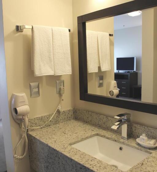 اتاق استاندارد با تخت بزرگ, Best Western Plus Chihuahua Juventud