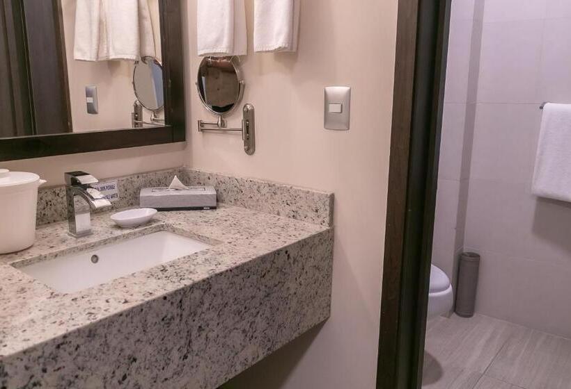 اتاق استاندارد با تخت بزرگ, Best Western Plus Chihuahua Juventud