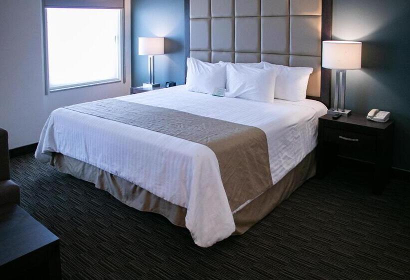 اتاق استاندارد با تخت بزرگ, Best Western Plus Chihuahua Juventud