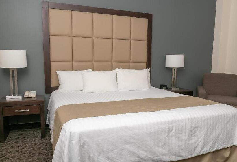 اتاق استاندارد با تخت بزرگ, Best Western Plus Chihuahua Juventud