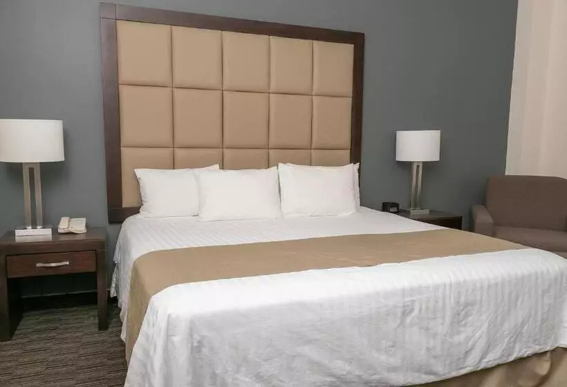 اتاق استاندارد با تخت بزرگ, Best Western Plus Chihuahua Juventud