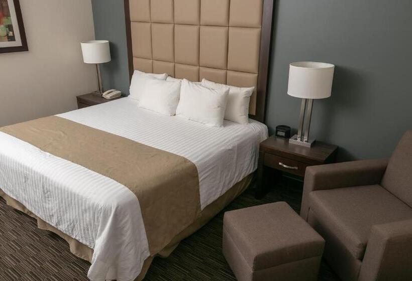 اتاق استاندارد با تخت بزرگ, Best Western Plus Chihuahua Juventud