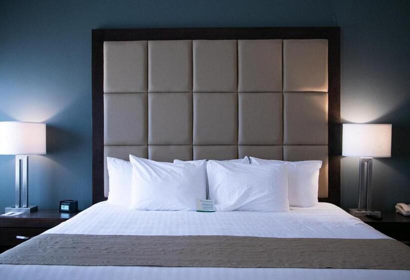 اتاق استاندارد با تخت بزرگ, Best Western Plus Chihuahua Juventud