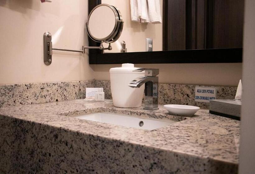 سوئیت با تخت بزرگ, Best Western Plus Chihuahua Juventud
