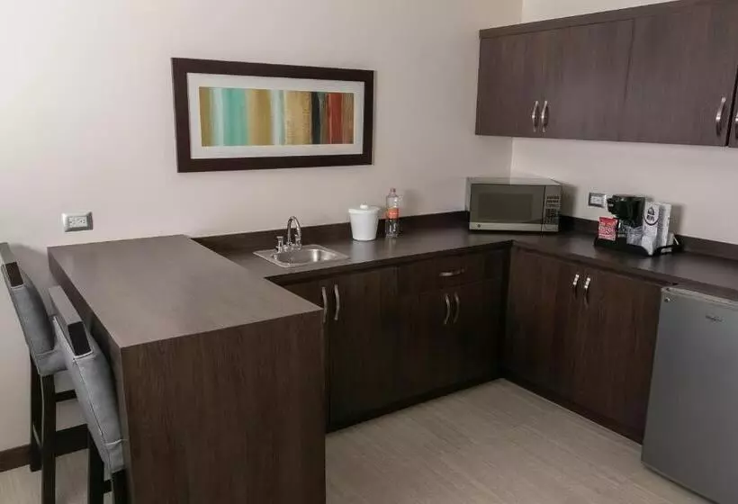سوئیت با تخت بزرگ, Best Western Plus Chihuahua Juventud