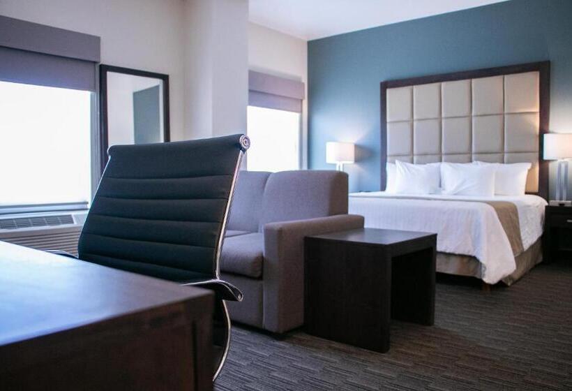 سوئیت با تخت بزرگ, Best Western Plus Chihuahua Juventud