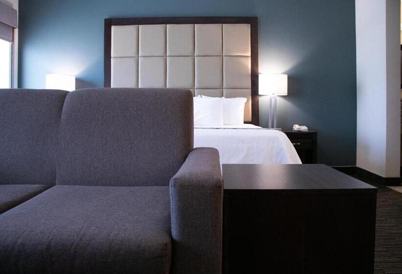 سوئیت با تخت بزرگ, Best Western Plus Chihuahua Juventud