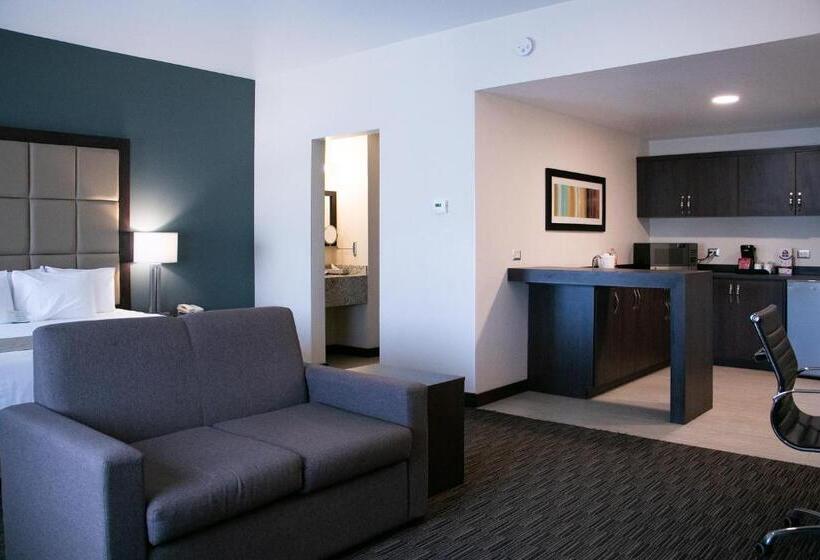 سوئیت با تخت بزرگ, Best Western Plus Chihuahua Juventud