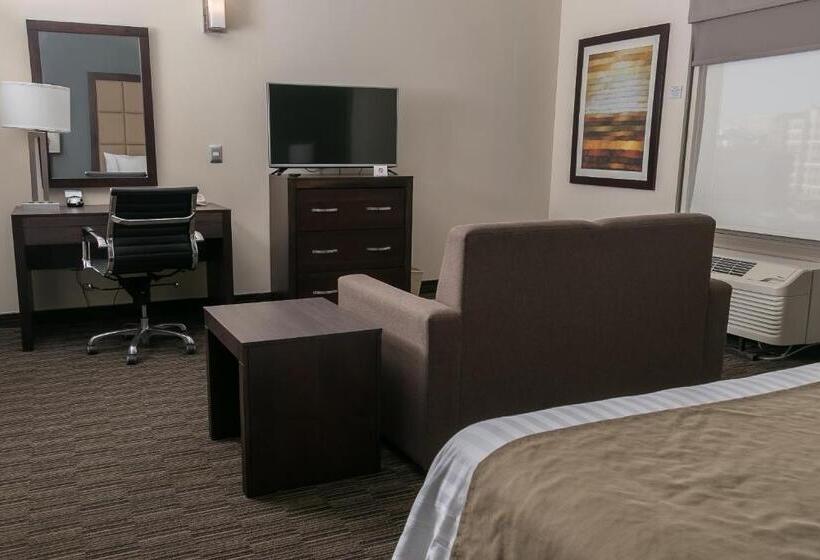 سوئیت با تخت بزرگ, Best Western Plus Chihuahua Juventud